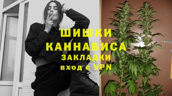прущие крисы Корсаков