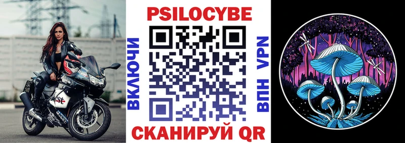 Псилоцибиновые грибы Psilocybine cubensis darknet Telegram Донецк