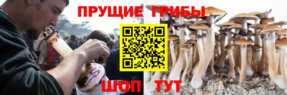 Донецк  Галлюциногенные грибы прущие грибы  Вход с VPN  магазин    Псилоцибиновые грибы Psilocybe 